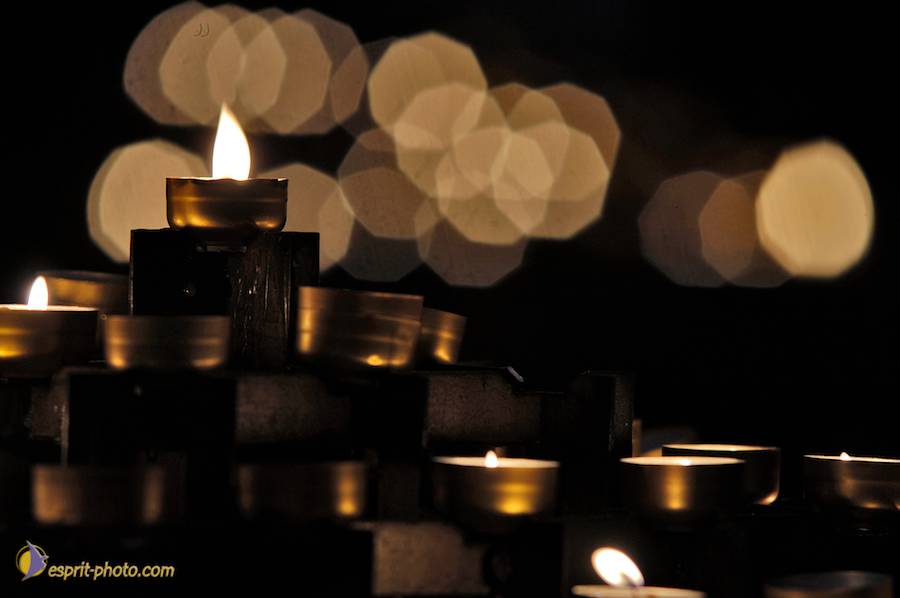 Nom de l'image : D2002087-1_(c)Norbert-JUNG — Description :